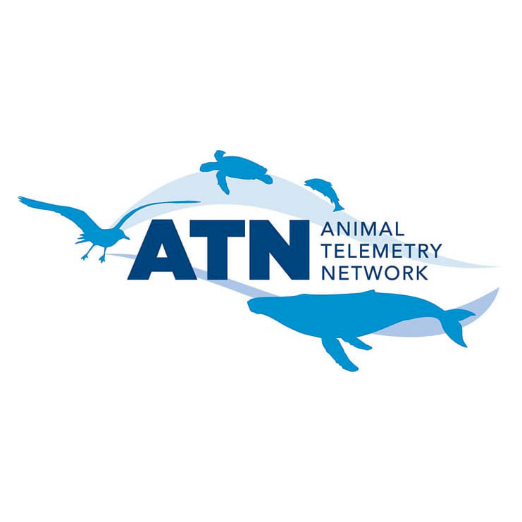 Animal Telemetry network logo