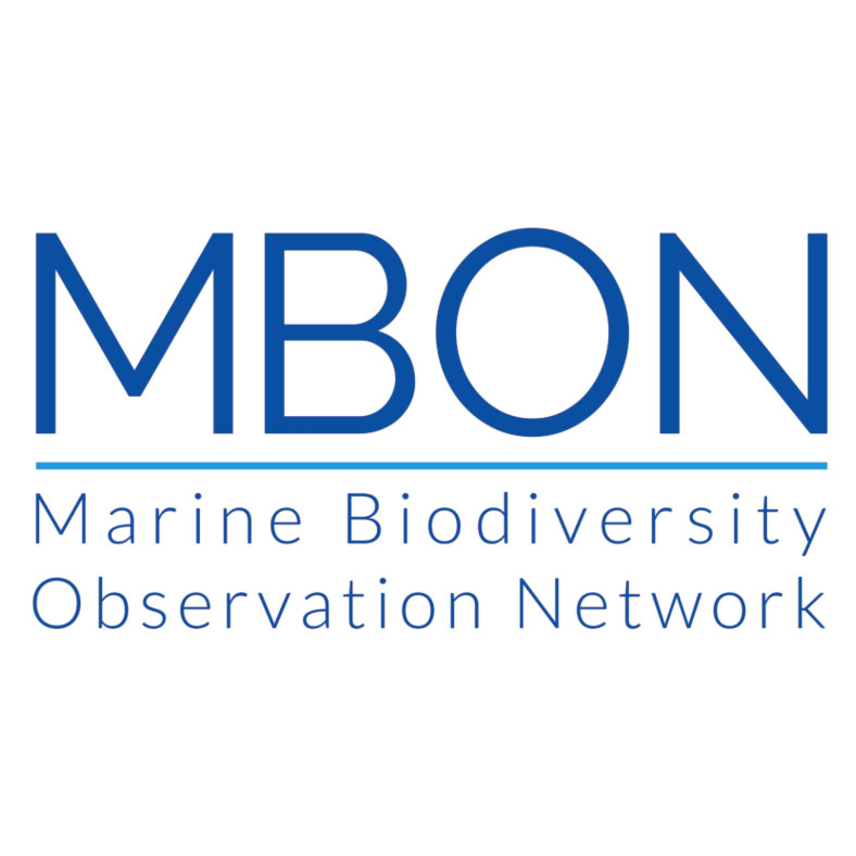 MBON logo