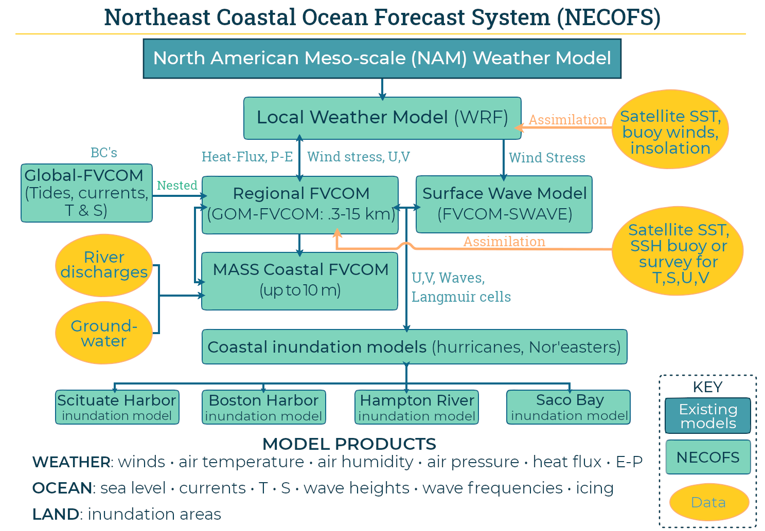COMT NECOFS schematic graph