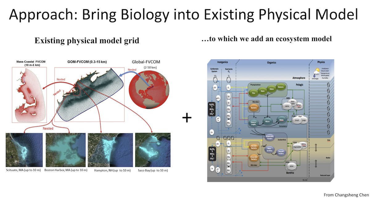 UMass oa thresholds fvcom bio model