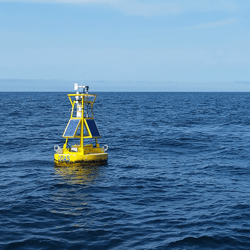 buoy floating in ocean