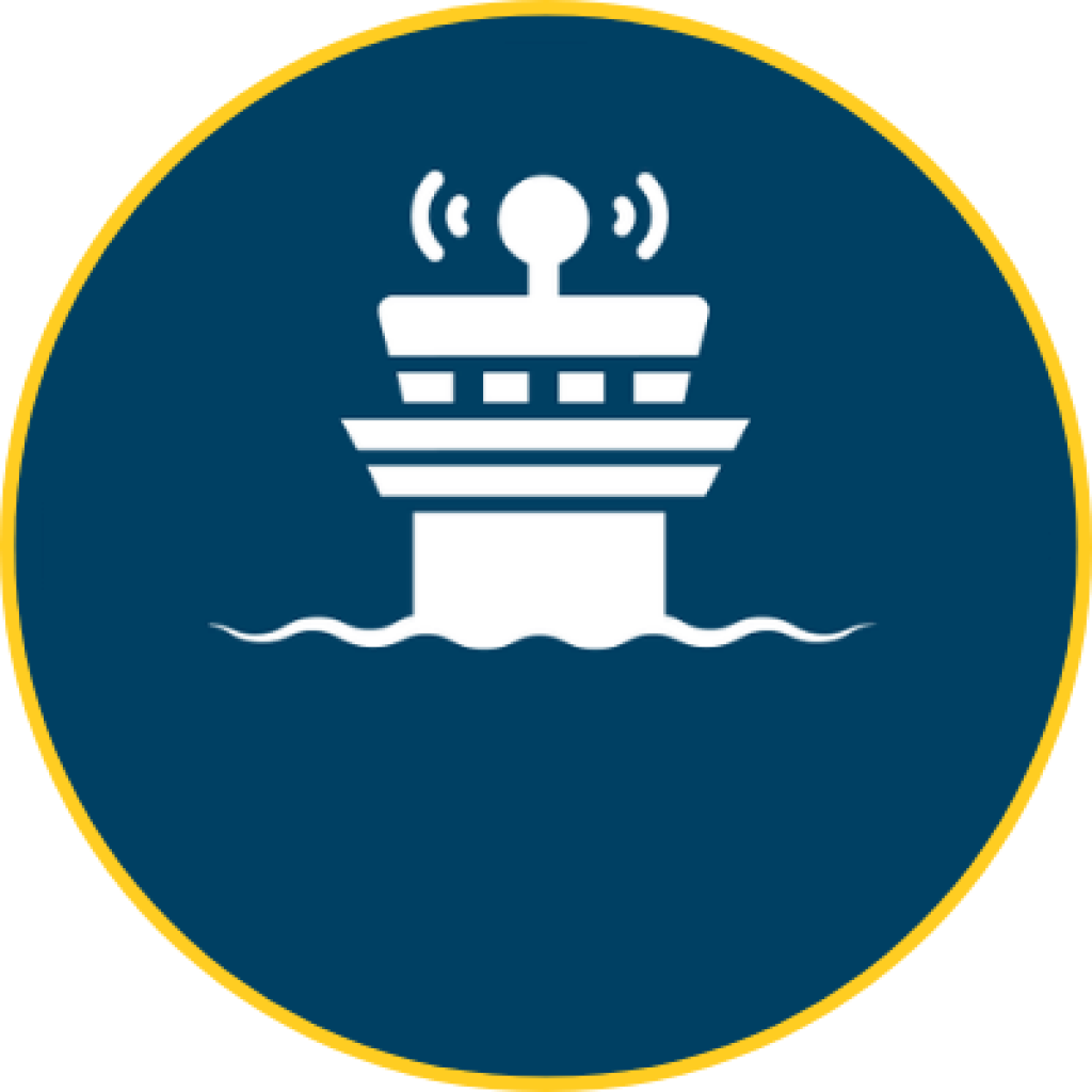 national security circle icon