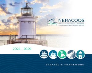 Strategic Framework cover