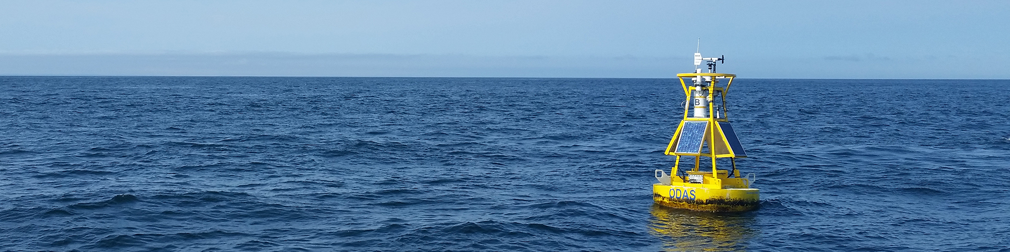 buoy in ocean
