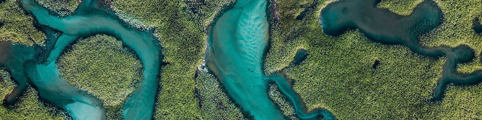 aerial of Provincetown