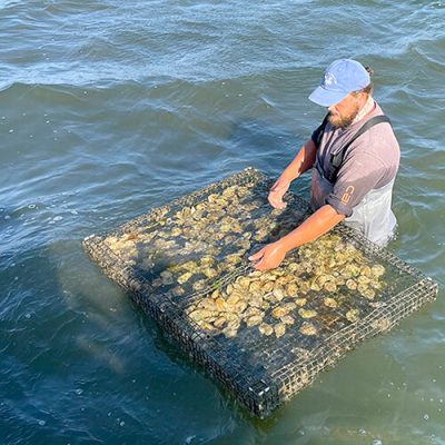 matunuck-oyster-farm-nspire-sq Matunuck Oyster Farm