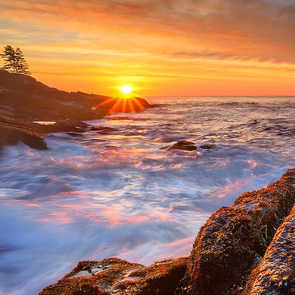 mdi-starfish-adobe-sq mdi sunrise