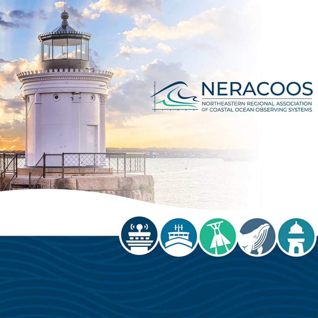 neracoos_strategic_cover-sq neracoos strategic framework cover