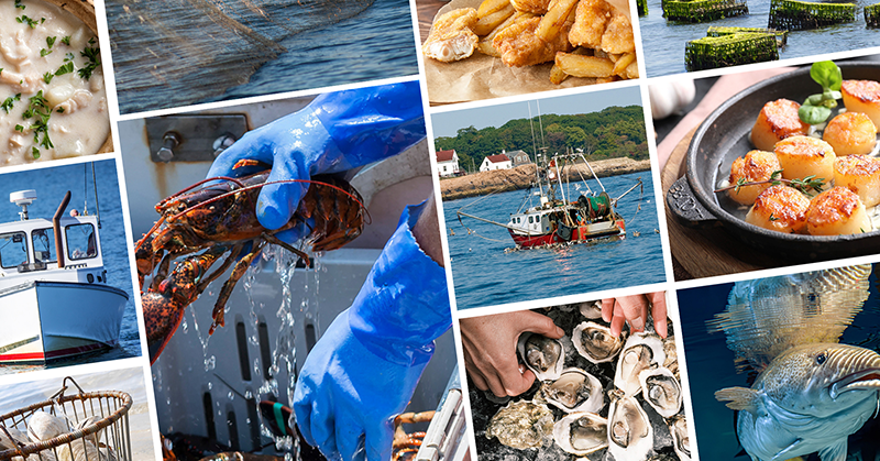 annual-meeting-seafood-header collage of seafood images